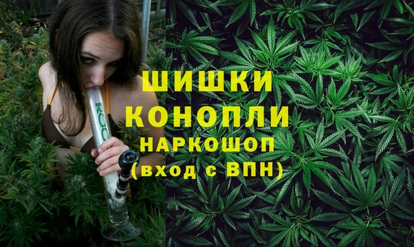 сатива Богородицк