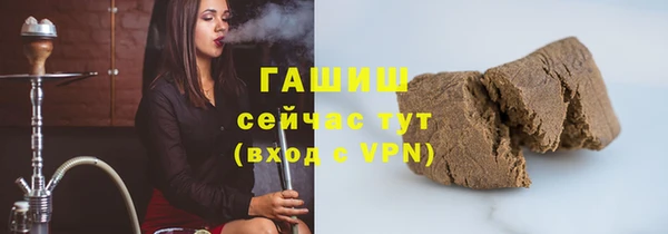 сатива Богородицк