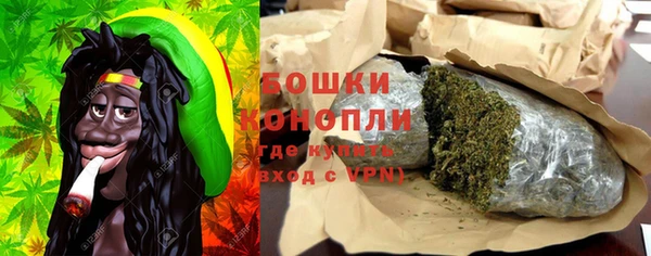 тгк Богданович