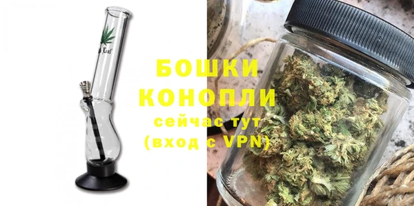 сатива Богородицк