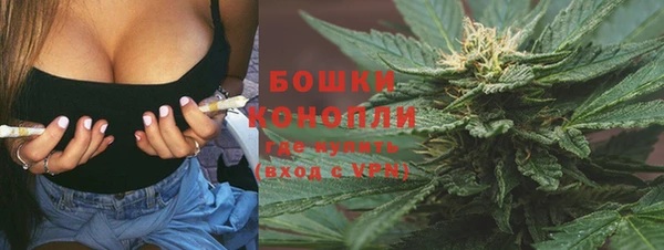 тгк Богданович