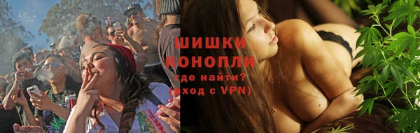 сатива Богородицк