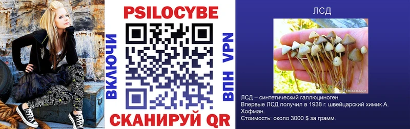 Псилоцибиновые грибы Psilocybe Купить закладки Баймак